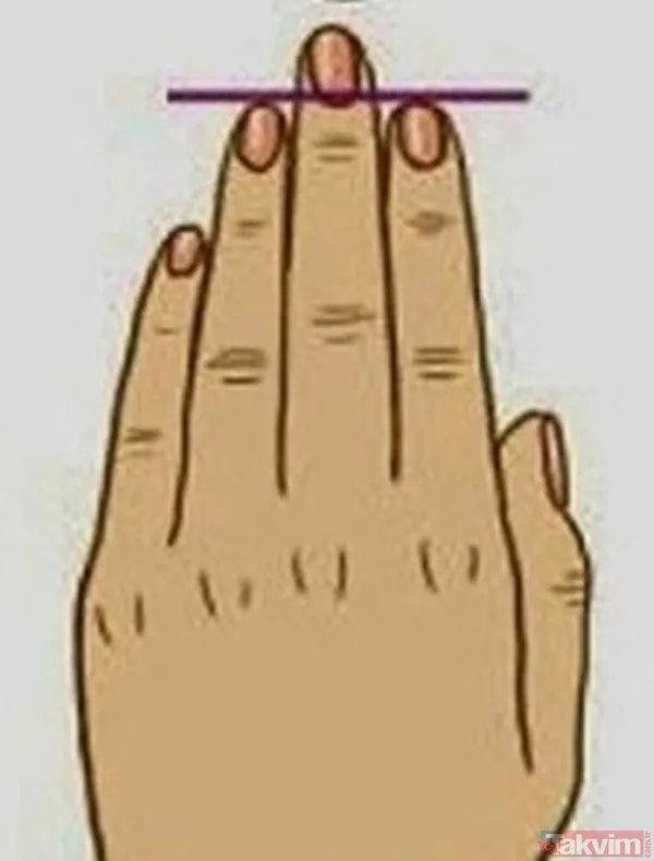 Yüzük Parmağının Ve İşaret Parmağının Uzunluğu Eşit Olan İnsanlar İse Gerginlik Ve Tartışmayı Yatıştıran, Sakin Ve Mümkün Olabildiğince Orta Yolu Bulmaya...