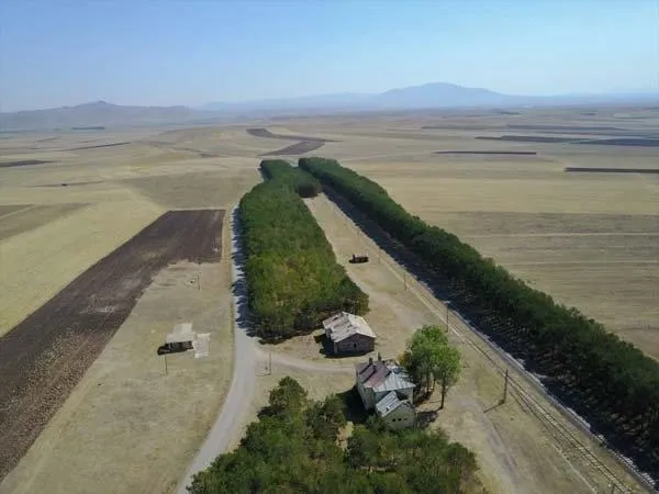 Kars'ta çekildi! Bu fotoğraf herkesin dilinde-2