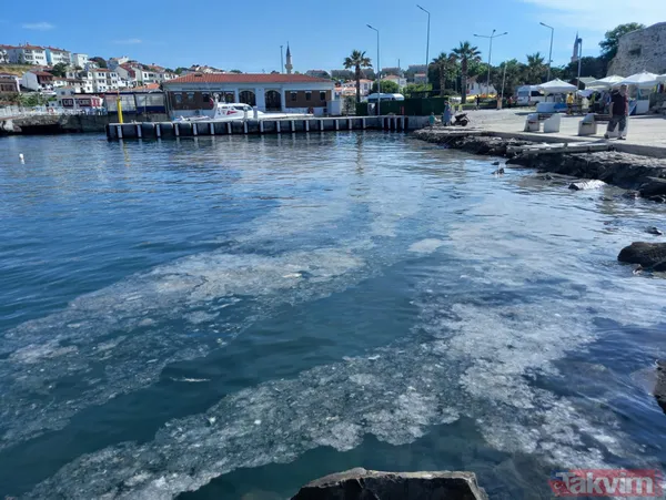 Bozcaada'da müsilaj var mı? Sahillerin temizlenmesi turizmcileri heyecanlandırdı - 14