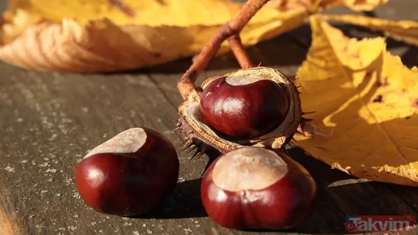 Kestaneyi fırına vermeden önce bunu yapın! Lokum gibi oluyor kabuğu kendiliğinden ayrılıyor - 7