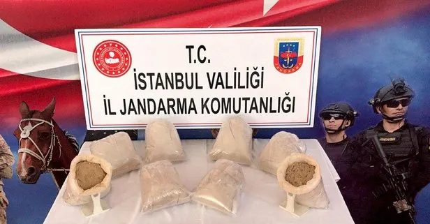 Son dakika: İstanbul’da uyuşturucu operasyonunda 26 kilogram eroin ele geçirildi