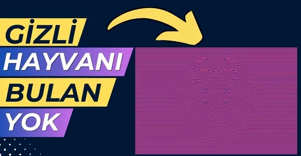 Resimli IQ bulmacanız geldi, süre başladı! Gizli hayvanı 5 saniyede bulabilir misin?