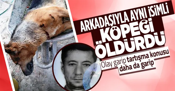 200 TL yüzünden tartıştığı arkadaşıyla aynı ismi taşıyan köpeği öldürdü