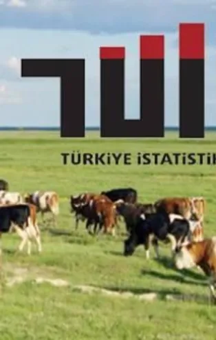 Son dakika: TÜİK 2019 yılına ilişkin hayvansal üretim istatistiklerini açıkladı