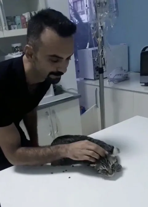 hayvanseverlerden-veterinere-sert-tepki-bu-adama-hayvan-emanet-etmeyin-1644220223669.jpg Hayvanseverlerden veterinere sert tepki: Bu adama hayvan emanet etmeyin-3