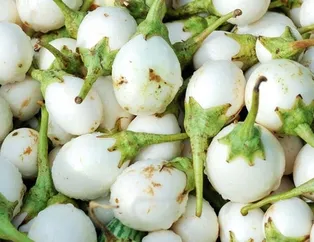 Bu besinler kanseri önlüyor! Reflüyü tedavi ediyor