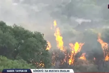 Çeşme'deki yangına müdahale sürüyor
