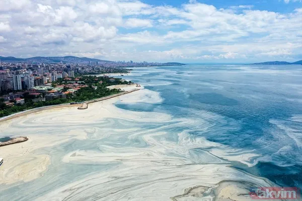 Caddebostan Sahili'nde müsilaj yoğunluğu arttı! Tabloya benzer görüntüler oluştu - 7