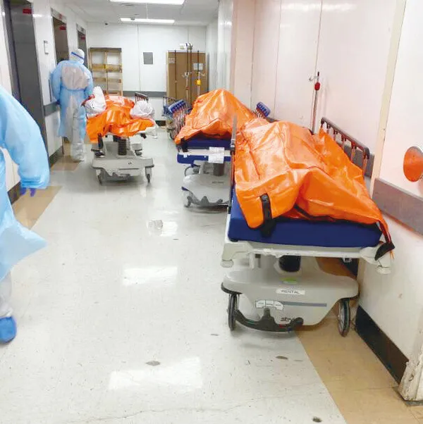 abdde-koronaviruse-karsi-tuyler-urperten-hazirlik-parklara-toplu-mezar-1586234189940.jpg ABD'de koronavirüse karşı tüyler ürperten hazırlık! Parklara toplu mezar-3