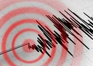 SON DEPREMLER: Muğlada korkutan deprem! Muğla Valisinden açıklama geldi