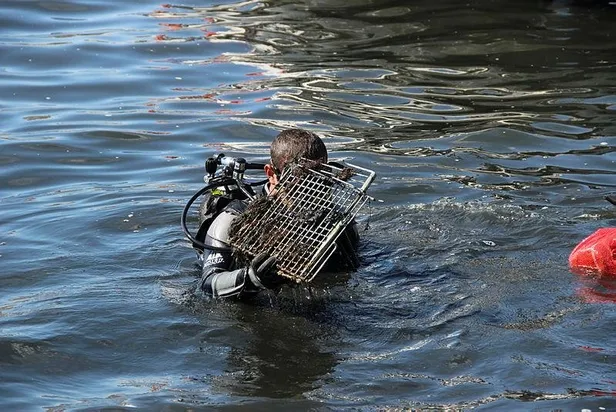 izmirde-denizden-cikanlar-gorenleri-soke-etti-otomobil-lastigi-mangal-izgarasi-1601568924182.jpeg İzmir'de denizden çıkanlar görenleri şoke etti! Otomobil lastiği, mangal ızgarası...-4