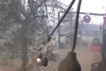 Çanakkale'de çıkan orman yangınının ilerleme hızı güvenlik kamerasında