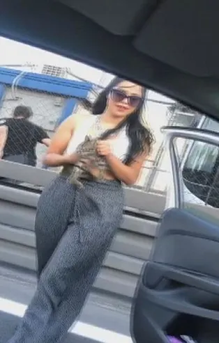 D100 Karayolu'nda mahsur kalan yavru kediyi kurtaran Nazlı Altan: Bu insani bir görev, şov değil!