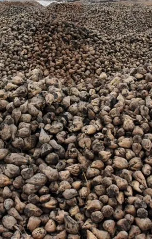 2020 rekorların senesi oldu! Bakan Pakdemirli rakamları açıkladı