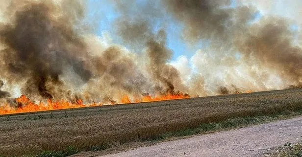 Bin dönüm buğday tarlası daha kül oldu!