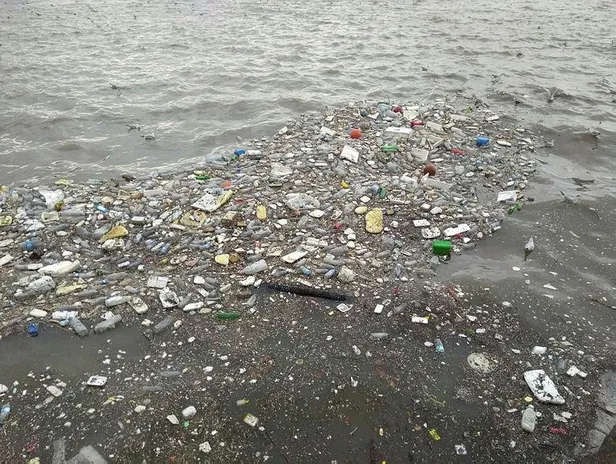 Zonguldak'ta kahreden görüntü! Hepsi sahile vurdu-2