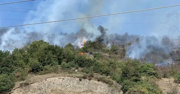 Son Dakika Eregli De 2 Donum Ormanlik Alan Yandi Takvim