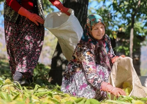 bu-isi-yapmak-her-yigidin-harci-degil-600-tlye-kadar-yevmiyesi-var-gunde-en-az-250-tl-verilecek-1635157756702.jpg Bu işi yapmak her yiğidin harcı değil! 600 TL'ye kadar yevmiyesi var! Günde en az 250 TL verilecek-5