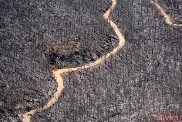 Bir izmaritin bedeli 50 hektarlık alan oldu! İşte İzmir'deki yangın faciasının çıkış anı - 7