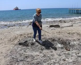 Cezası 120 bin TL! Kum zambakları koparılarak yakıldı