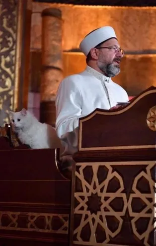 Diyanet İşleri Başkanı Ali Erbaş'ın Ayasofya Camii’nde katıldığı 'Regaib Kandili Özel' programında 'kedi' detayı