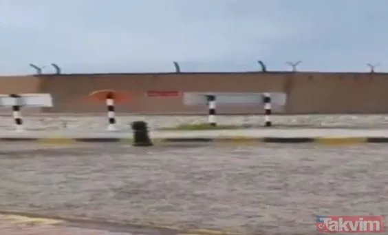Çekirge istilasından sonra şimdi de karınca istilası! Dünya bu konuda nasıl konuşuyor
