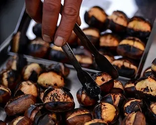 Kestane kalpten anlar