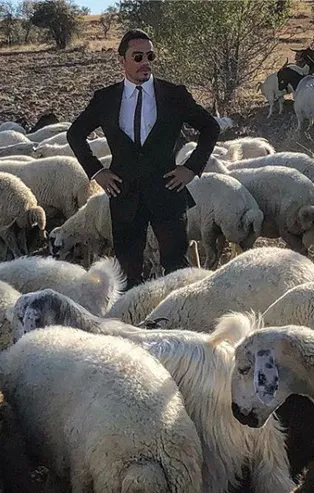 Canını seven kaçsın