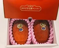 Japonya’da iki mango 58 bin 300 liraya satıldı