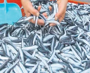 Trabzon’da 7.5 İstanbul’da 40 tl