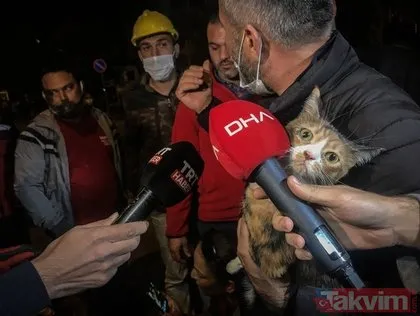 İzmir’de depremin ardından yürekleri ısıtan görüntü: K-9 arama köpeği ’Bob’ enkaz altında kalan kediyi kurtardı