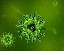 Koronavirüsten daha ölümcül X virüsü kapıda!