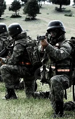 Bingöl'de 10 terörist öldürüldü