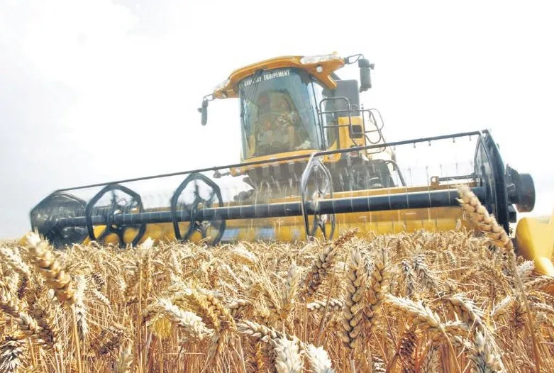 İşlenmemiş arazi kiralanacak