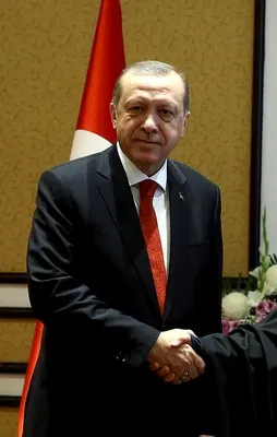 Erdoğan, Ruhani ile görüştü