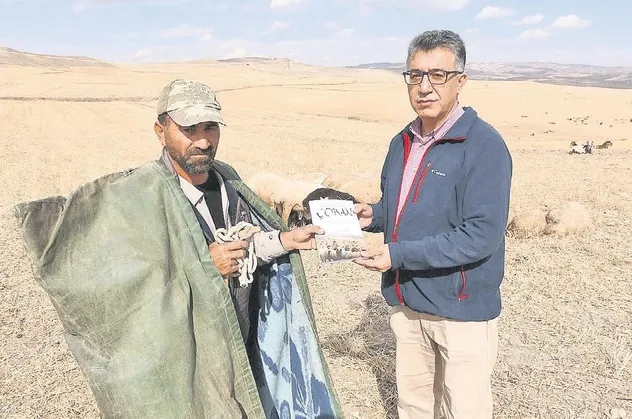Çoban yıldızı! İki akademisyen çobanlık üzerine yazdığı kitabı çobanlara dağıttı