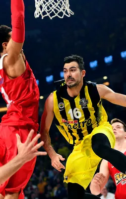 Avrupa'nın en büyüğü Fenerbahçe