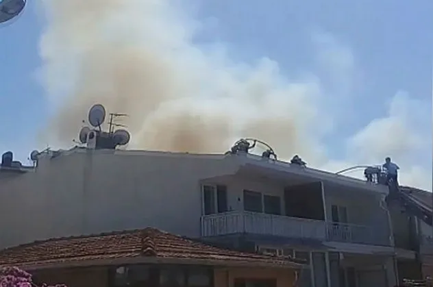Büyükada'da yangın paniği