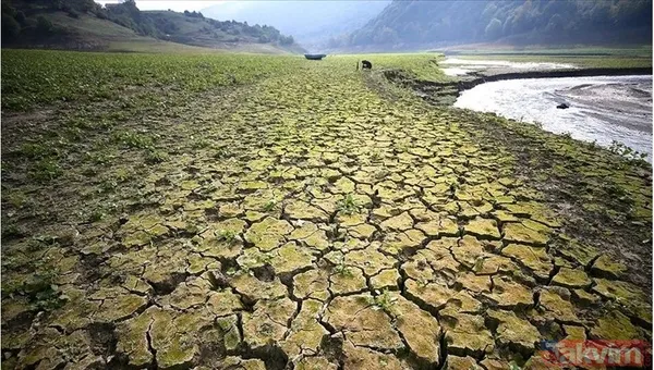 Küllerinden doğan cennet | Çöle benzediği için dizi çekilmişti! Şimdi kocaman orman oldu... İşte büyük mücadelenin sonucu - 8