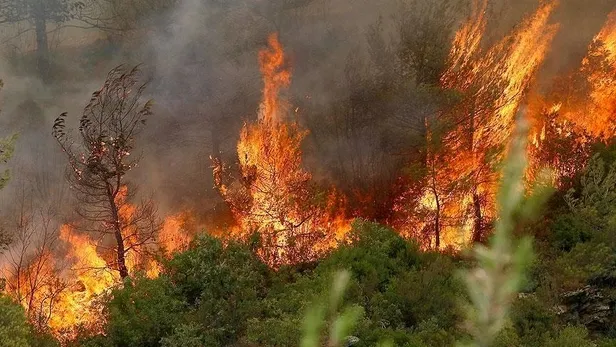 Terör örgütü YPG/PKK'nın "ormanların yakılması" talimatı iddianamede yer aldı: Önüne ne geliyorsa yak-3