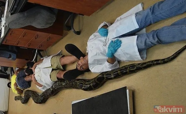 Duvarın içinden gelen seslerden ilallah etti sonunda paramparça etti! Gördükleri karşısında kalbi yerinden çıkacaktı - 46