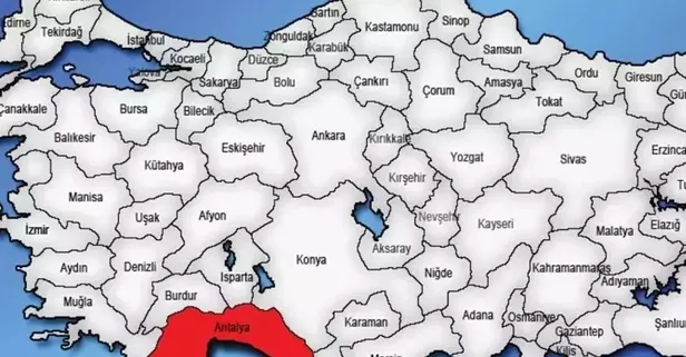 Ormanda sağanakla birlikte fışkırıyor! Sezonu açıldı kilosu 350 TL’den alıcı buluyor