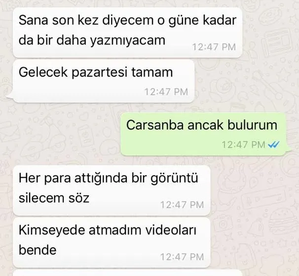 Iraklı avukata iğrenç tuzak! Kadın çamaşırı giydirip... - 7