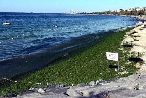 Vatandaşlar isyan etti!