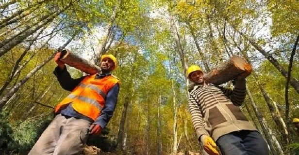 Tarım ve Orman Bakanlığı işçi alımı kura sonuçları açıklandı mı? OGM 118 personel alımı kura sonucu sorgulama ekranı!-3