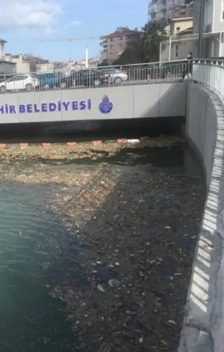 CHP'li İmamoğlu'nun "temizledik" diye reklam yaptığı Kurbağalıdere'nin hali içler acısı