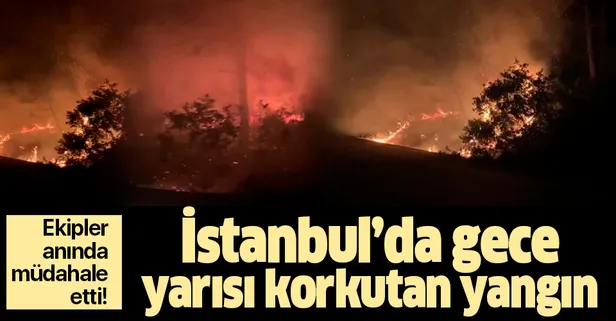 Son dakika: Sarıyer'de korkutan orman yangını