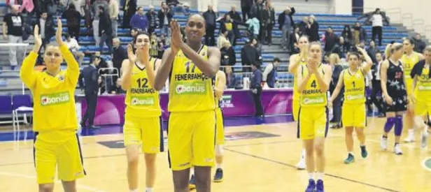 Dişi Kanarya’dan farklı tarife