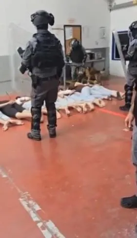 İsrail’den Filistinlilere sadist işkence: Köpekleri üzerlerine salıp…-2