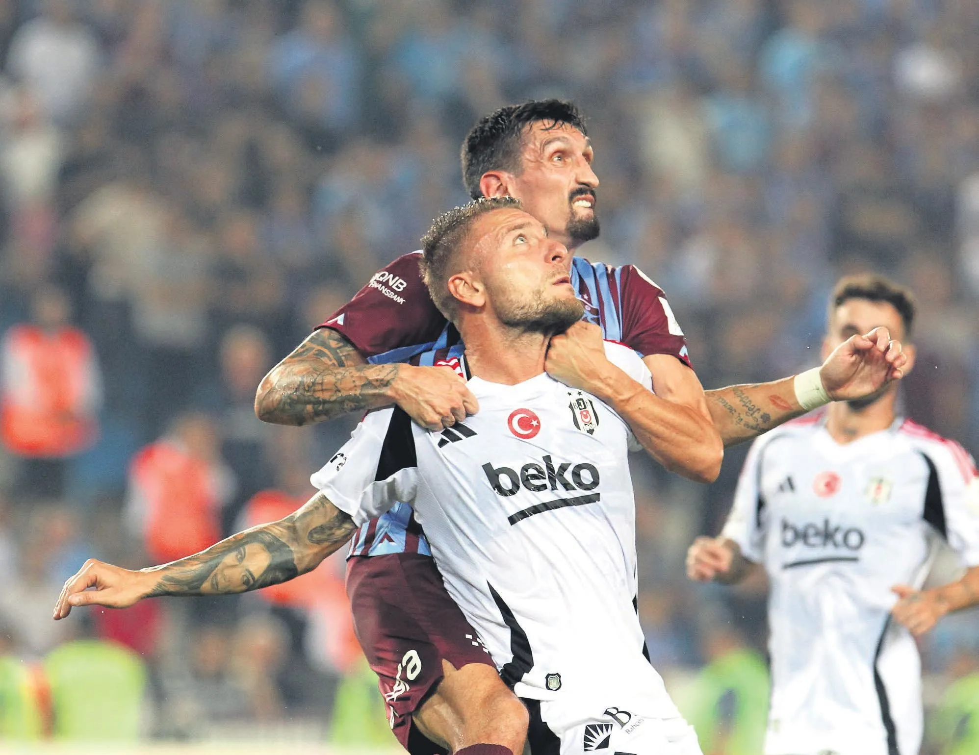 Kartal duvara tosladı